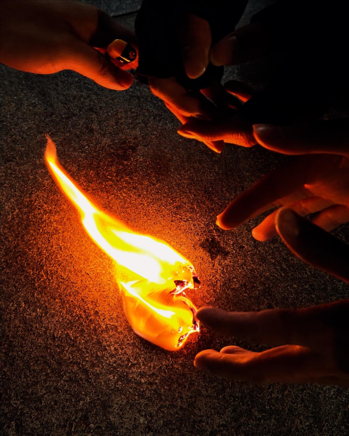 0208 和zyq的摄影小作