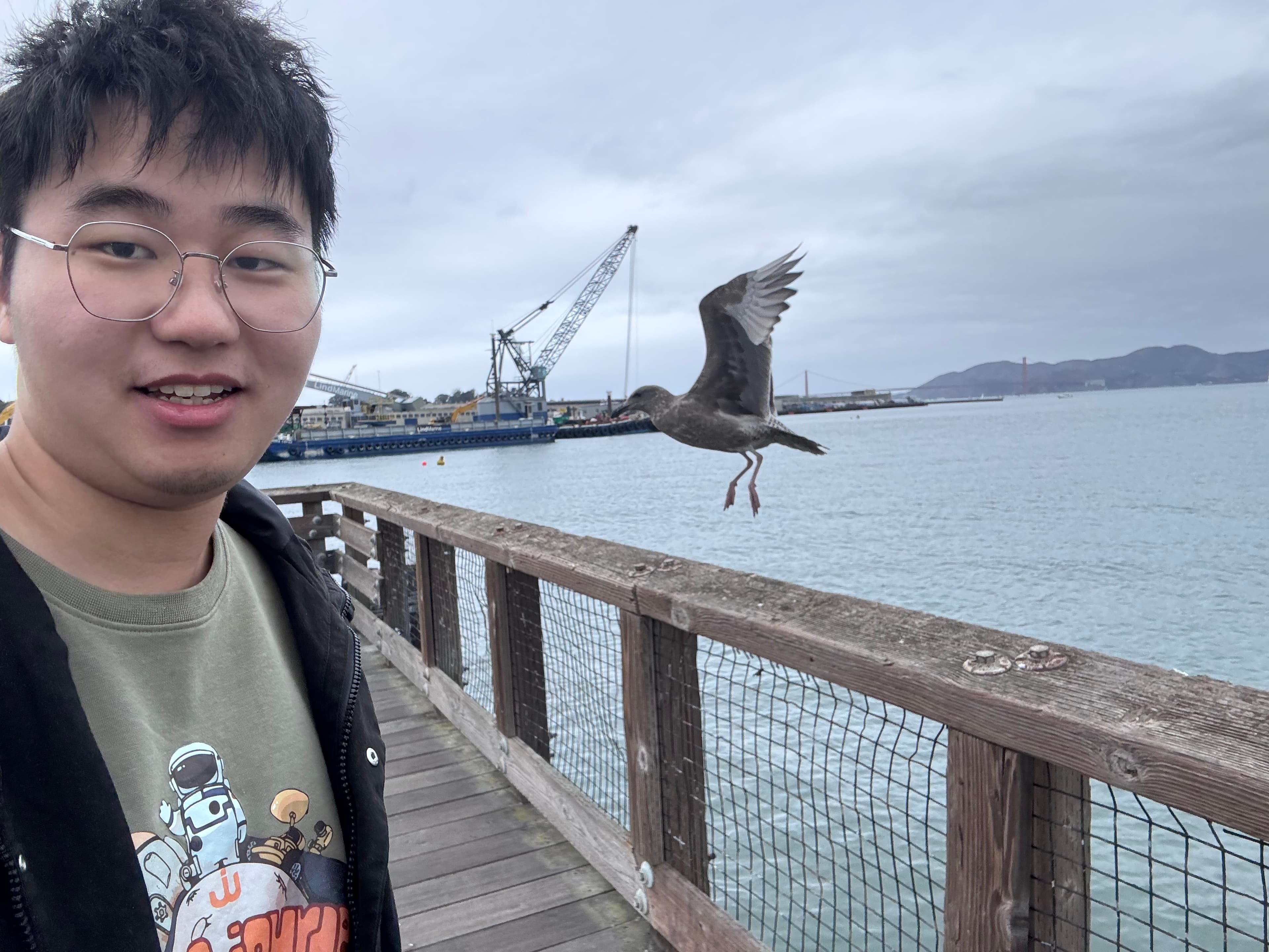 1026 Pier39手机也能打鸟